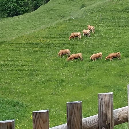 Albergo Diffuso Sauris In Sauris Di Sotto Exterior foto